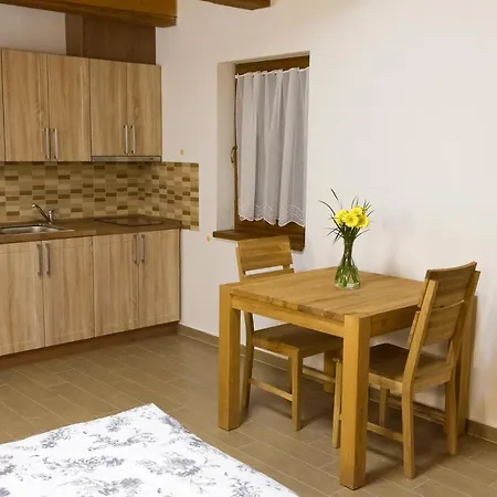 Studeny منزل للإقامة *